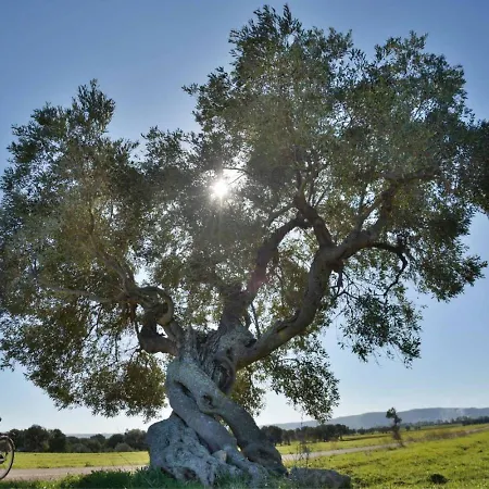 Masseria San Lorenzo Guest house