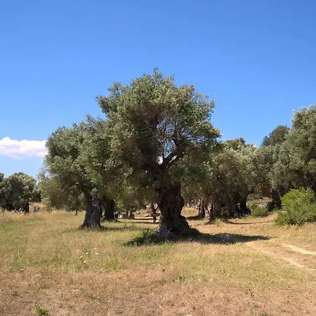 Masseria San Lorenzo Fasano